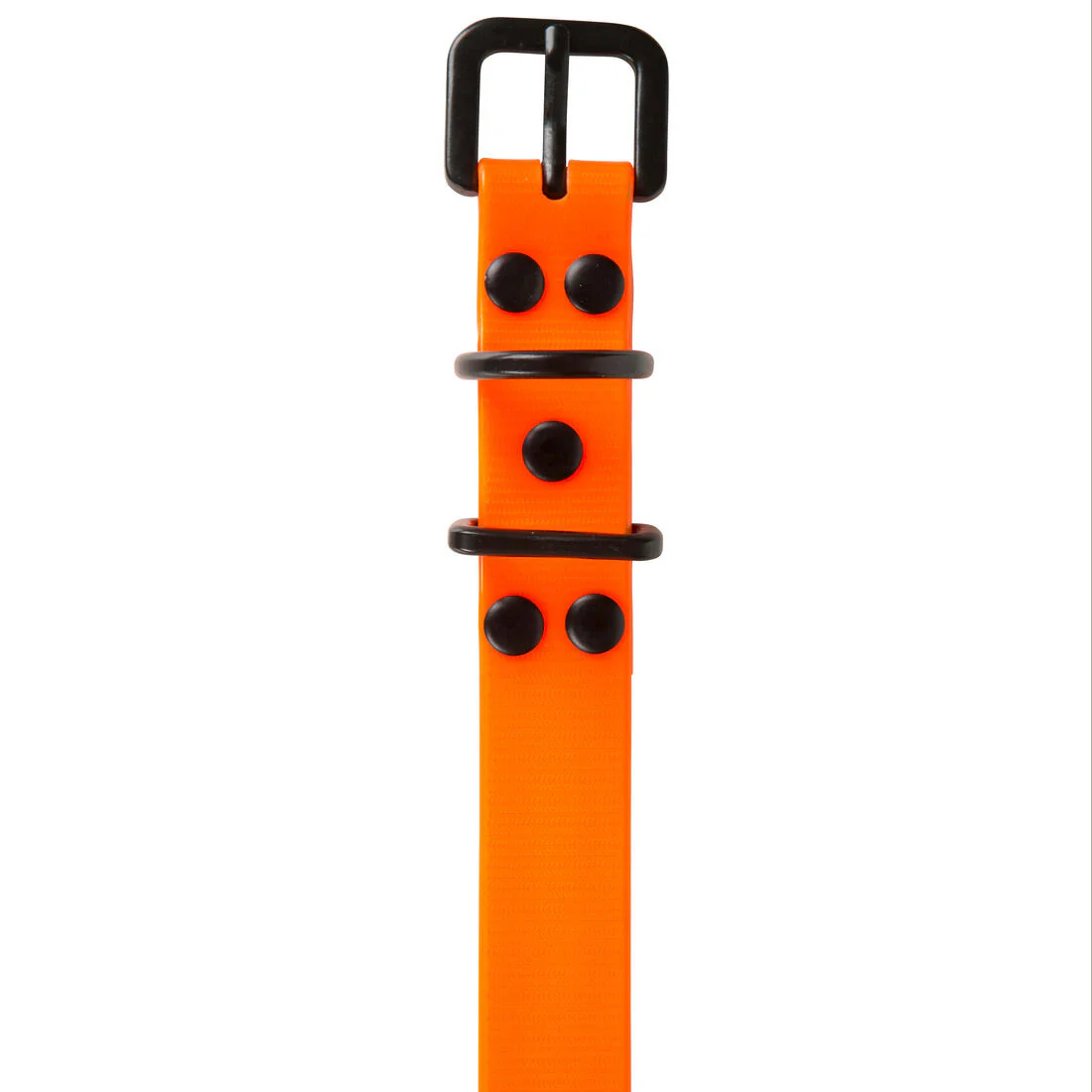 Collier chien Jaune fluo 500 – Image 6