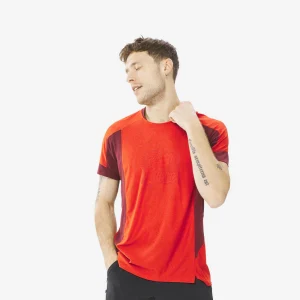 T-shirt de randonnée manches courtes en synthétique - homme - mh500