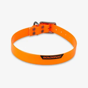 Collier chien Jaune fluo 500